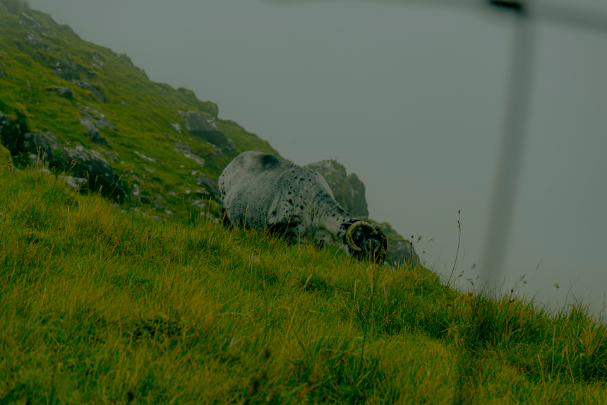 ireland19
