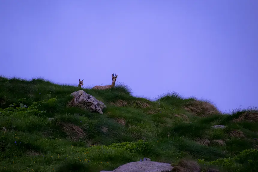 Nature10