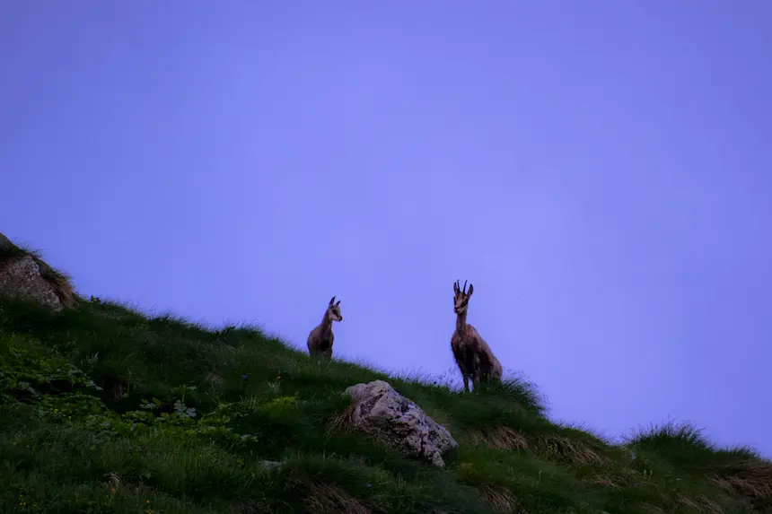Nature11