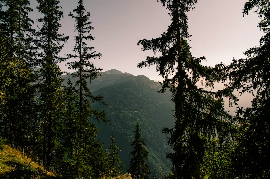 Nature3