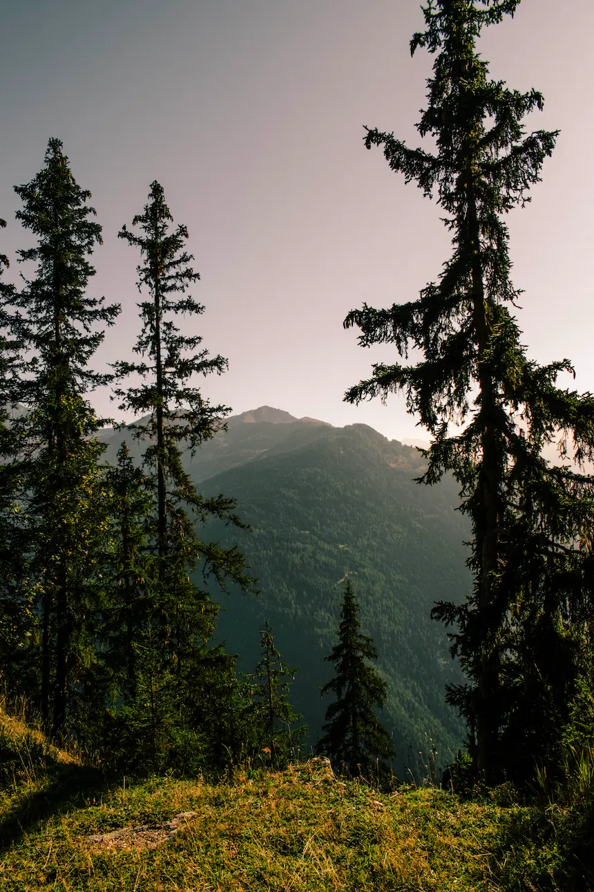 Nature4
