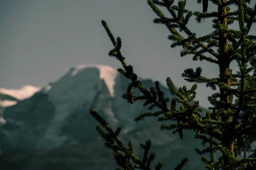 Nature5