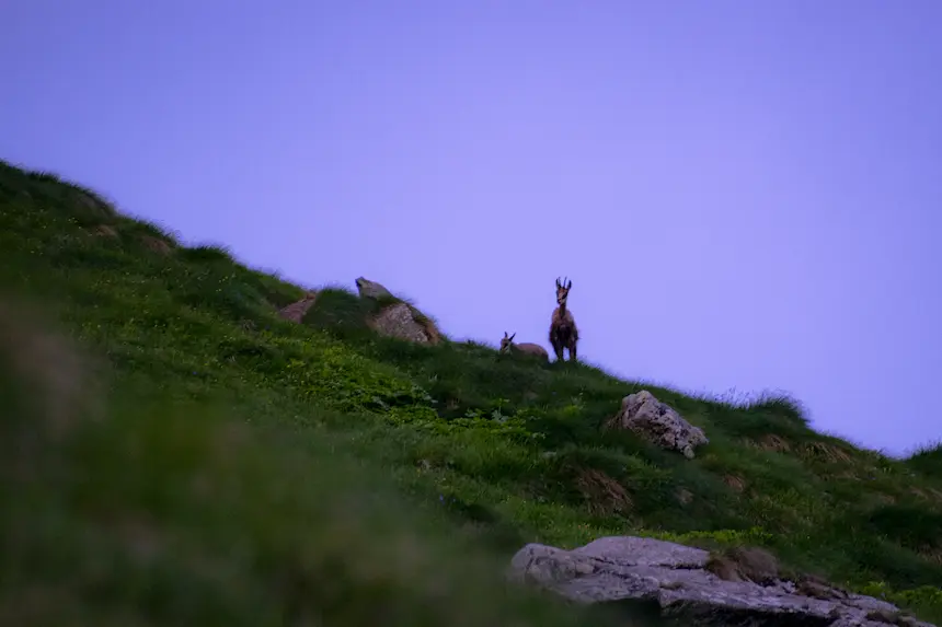 Nature9